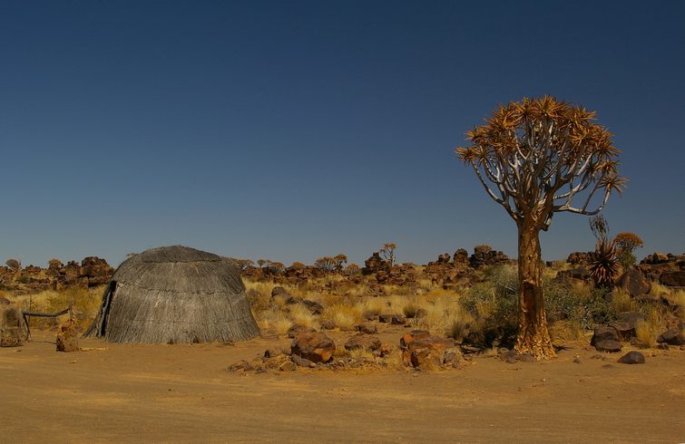 094 Namibia Okt 2006 Koecherbaumwald.JPG